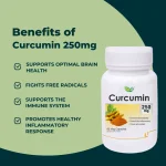 Curcumin 250mg Veg Capsules - Image 3