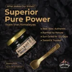 What Makes Our Shilajit Superior?